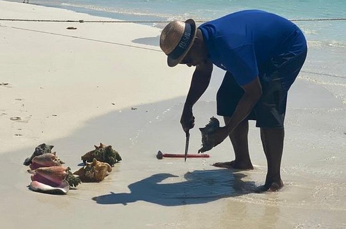 3hr Seaside Scavenger hunt - Iguana Island, swimming, and a quieter beach stop