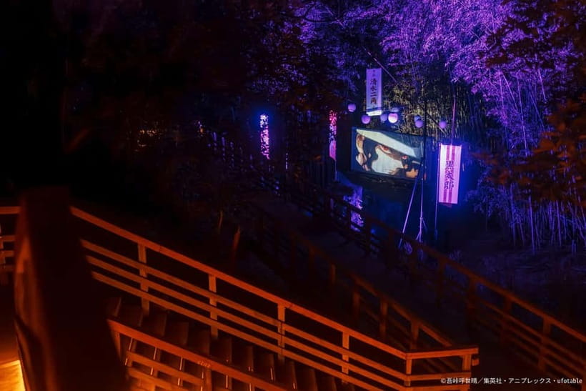 Awaji: Demon Slayer Nijigen no Mori Puzzle Walk & Projection - Who should book this experience?