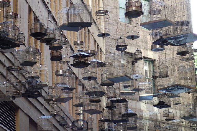 Awesome Sydney Scavenger Hunt: Inside Sydney - The Harbour Bridge and Sydney Harbour