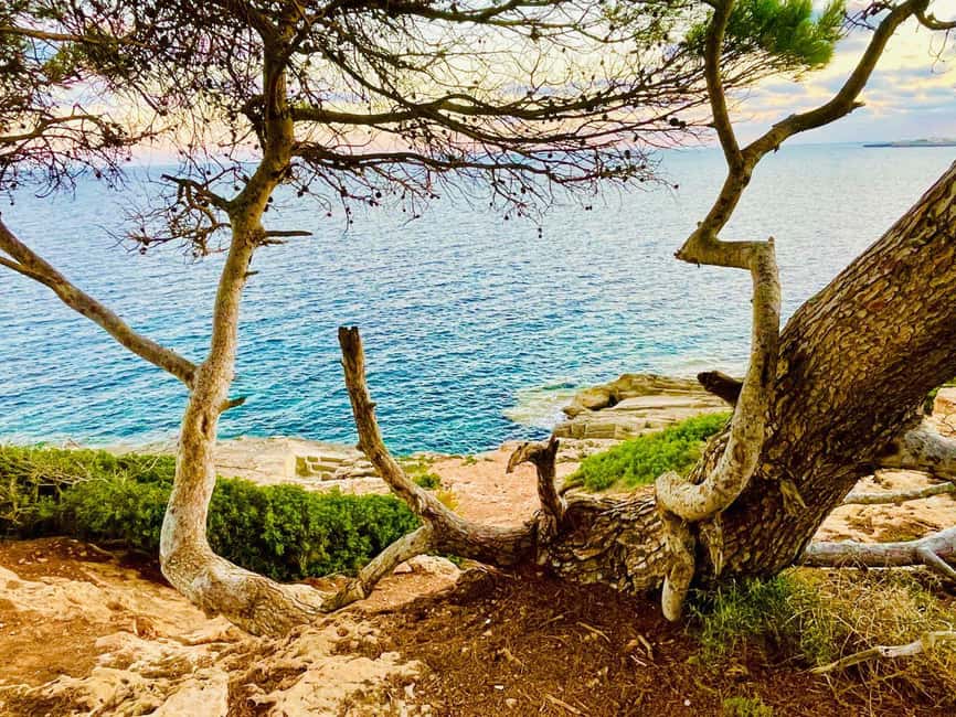 Cala Millor: real treasure hunt in natural reserve, fun walk - Seven puzzles that reward teamwork