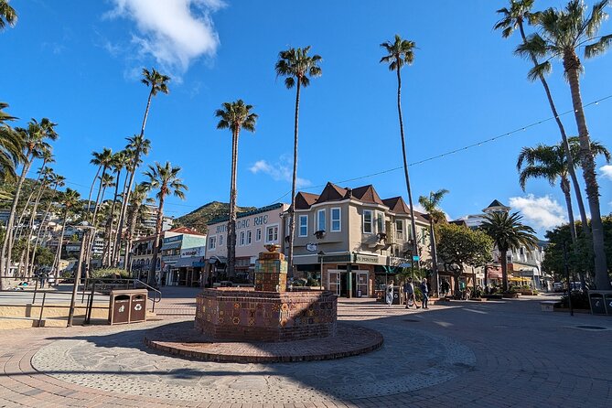 Catalina Scavenger Hunt Walking Tour and Game - Key points to know before you go