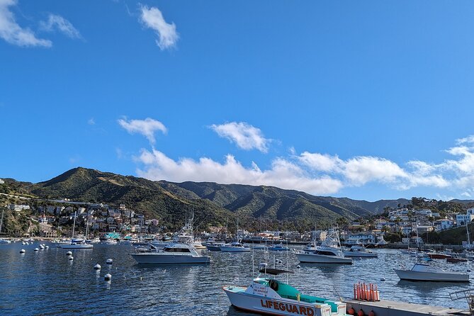 Catalina Scavenger Hunt Walking Tour and Game - A playful way to see Avalon on foot
