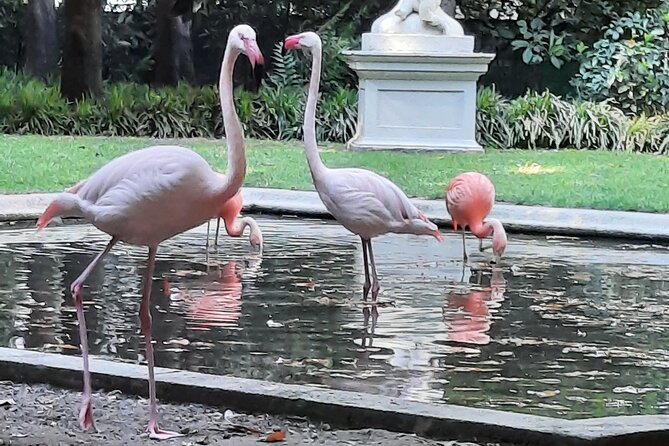 Catch the Unicorn: Self-Guided Fantasy Puzzle Quest in Milan - Key points at a glance