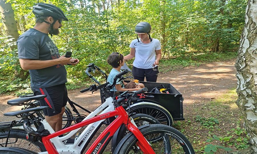Copenhagen: Private Forgotten Giants E-Bike Treasure Hunt - Glostrup and the first taste of the suburbs