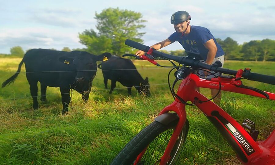 Copenhagen: Private Forgotten Giants E-Bike Treasure Hunt - What the guide adds to the experience