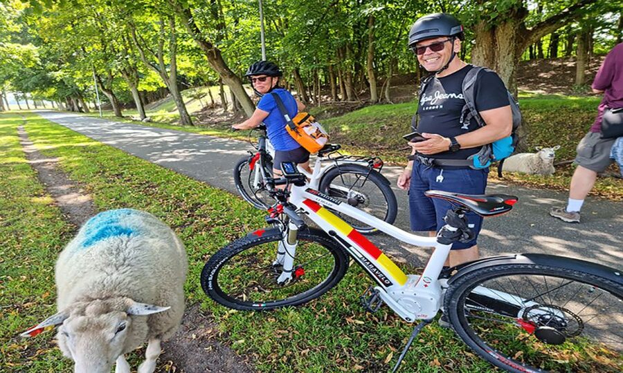 Copenhagen: Private Forgotten Giants E-Bike Treasure Hunt - Is $213 per person good value?