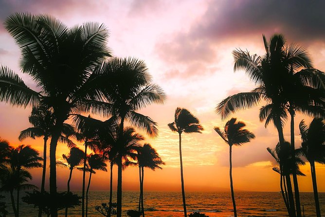 Creative Soul Scavenger Hunt( Kona Big island Hawaii) - A different kind of Kona scavenger hunt
