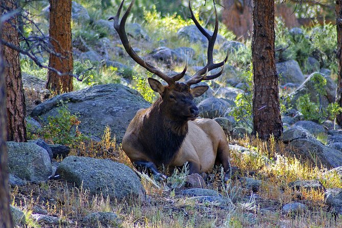 Creative Soul Scavenger Hunt of Steamboat Springs - Tara’s game-show approach