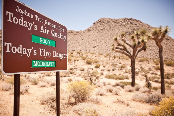 CreativeSoul ScavengerHunt(Hidden Valley,Joshua Tree)Remote Host - How Tara’s remote hosting works