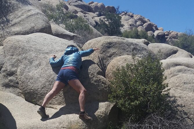 CreativeSoul ScavengerHunt(Hidden Valley,Joshua Tree)Remote Host - The one-mile mission route