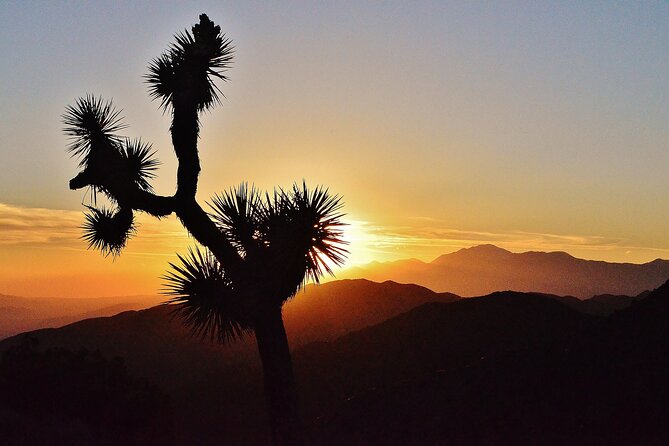 CreativeSoul ScavengerHunt(Hidden Valley,Joshua Tree)Remote Host - Families, friends, and company groups