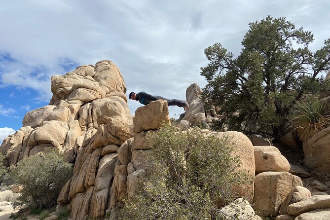 CreativeSoul ScavengerHunt(Hidden Valley,Joshua Tree)Remote Host - Starting at Hidden Valley in Joshua Tree