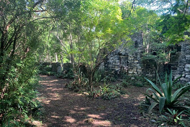 Discovery Tour and Treasure Hunt ( North and Middle Caicos) - Lunch at Dragon Cay breaks up the touring
