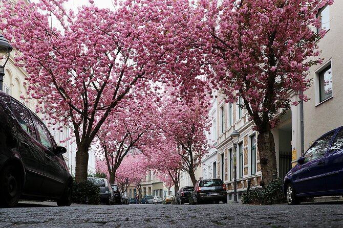 e-Scavenger hunt Bonn: Explore the city at your own pace - The Alte Rathaus and Bonn’s grand civic face
