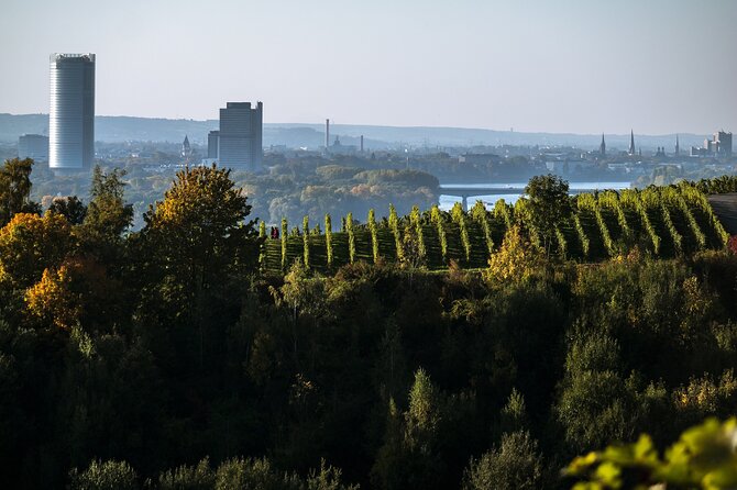 e-Scavenger hunt Bonn: Explore the city at your own pace - Churches that show Bonn’s long timeline