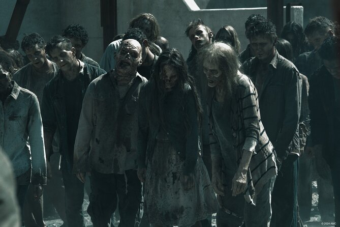 Escape Game outdoor The Walking Dead in Lyon - Should you book the Walking Dead escape game in Lyon?