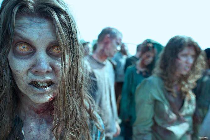 Escape Game Team The Walking Dead in Annecy - Who should book this experience