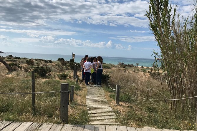 Escape Room Outdoor (on foot) Bartolomew Roberts Treasure - Key points to know before booking