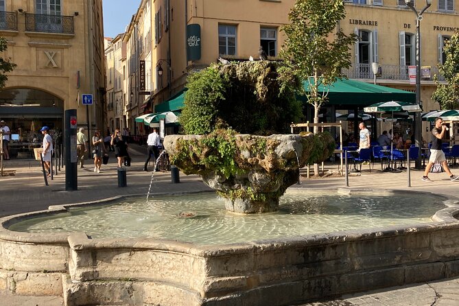 Historical visit/Treasure Hunt of Aix en Provence - The Quatre-Dauphins fountain and the changing symbol above it