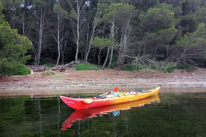 Kayak Treasure Hunt in Balearic Islands - Who Will Enjoy This Kayak Tour?