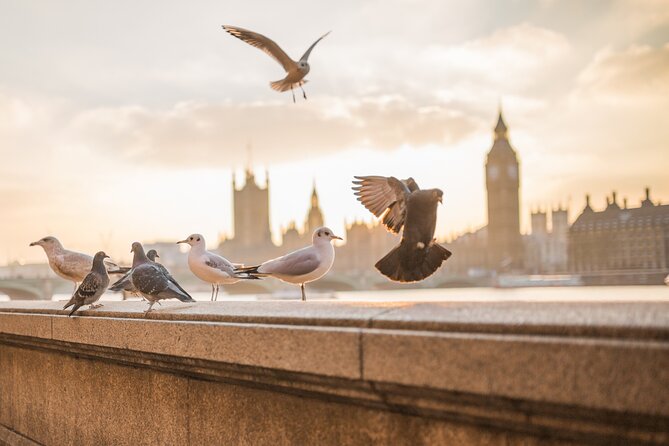 London Scavenger Hunt and Highlights Self-Guided Tour - What you see across the 10 or more attractions