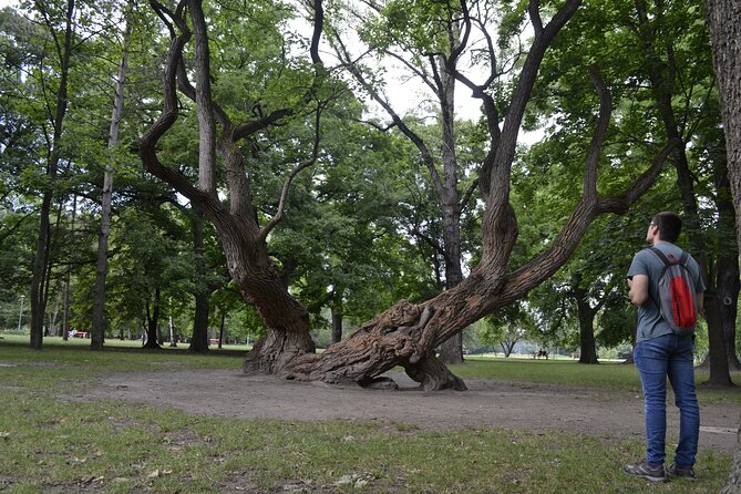 Margaret Island Mystery: Self-Guided Puzzle Quest in Budapest - How the puzzle story affects the experience