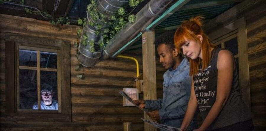 Molde: Serial Killer Escape Room Game - The Puzzle Style: Variety and Teamwork