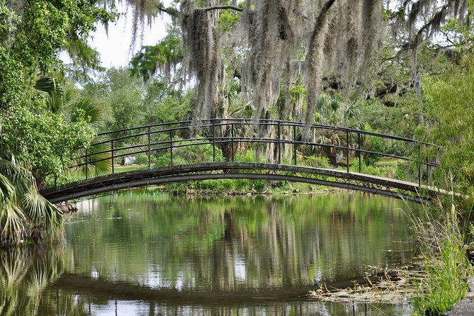 New Orleans: City Park Exploration Game and Tour - Ending beneath The Singing Oak