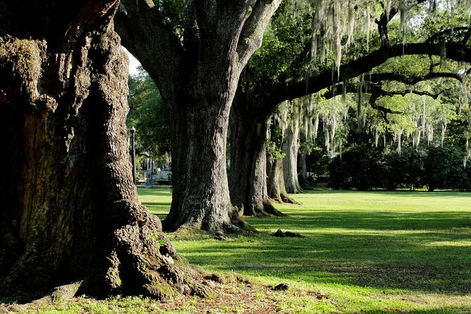 New Orleans: City Park Exploration Game and Tour - The app and offline play