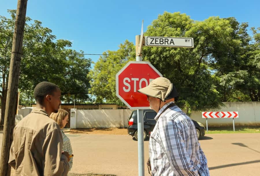 No. 1 Ladies Detective Agency Literary Tour : Gaborone Tour - Key points to know before you book