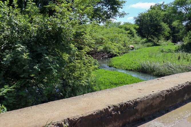 No.1 Ladies Detective Agency Literary Tour (Mma Ramotswe Tour) - Two hours around Gaborone with Mma Ramotswe