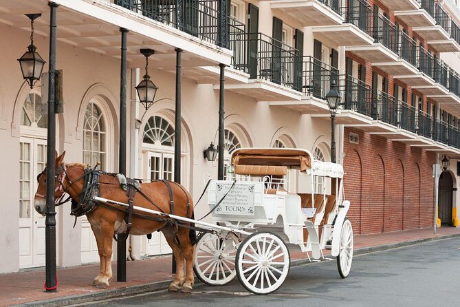 Nutty New Orleans Scavenger Hunt - Key Things to Know Before You Play
