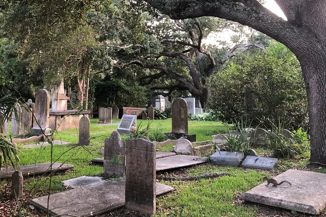 Pirate Escape Charleston Scavenger Hunt and Free Museum - Walking, weather, and practical planning