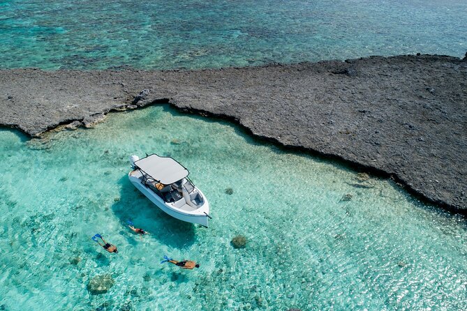 Private 4 Hours Reef Discovery Luxury Private Treasure Hunt in Bora Bora - Key details at a glance