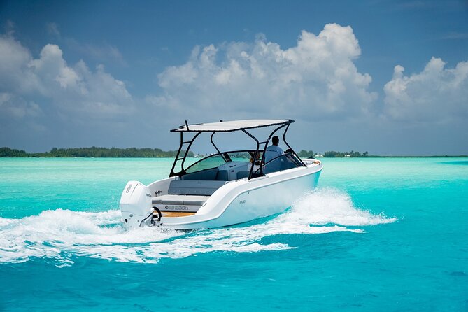 Private 4 Hours Reef Discovery Luxury Private Treasure Hunt in Bora Bora - Manta rays and the thrill of spotting wildlife
