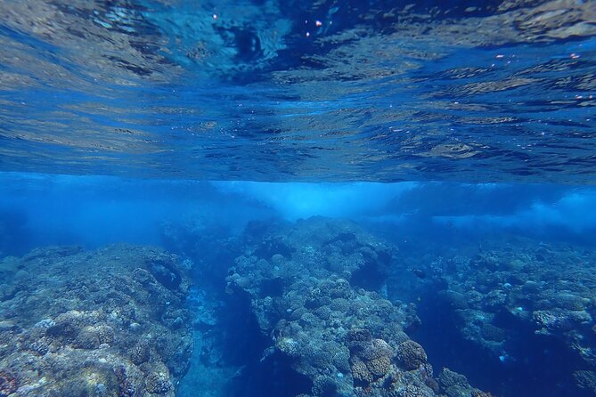 Private 4 Hours Reef Discovery Luxury Private Treasure Hunt in Bora Bora - Stop one: finding the first clue