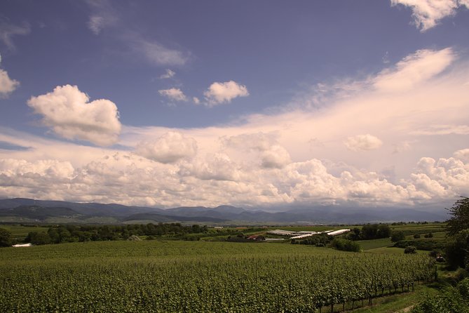 Private: Outdoor Escape Game Tuniberg: Eduardo & the Wine Secret - Key points about Eduardo and the Tuniberg wine mystery