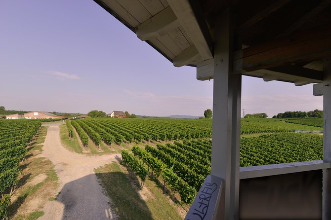 Private: Outdoor Escape Game Tuniberg: Eduardo & the Wine Secret - The finale and the treasure of Tuniberg