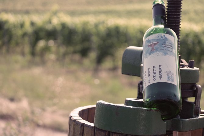 Private: Outdoor Escape Game Tuniberg: Eduardo & the Wine Secret - Who will enjoy this private escape game?