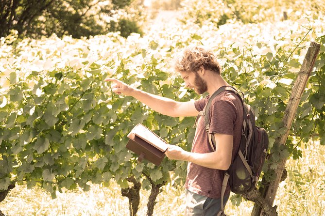 Private: Outdoor Escape Game Tuniberg: Eduardo & the Wine Secret - Following clues through the Tuniberg vineyards