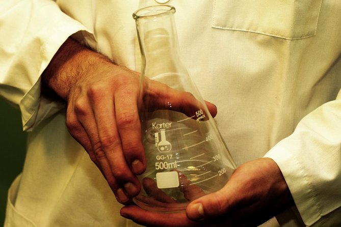 Private Reykjavik Escape Game Experience: The Scientist 1 - Key points to know before booking