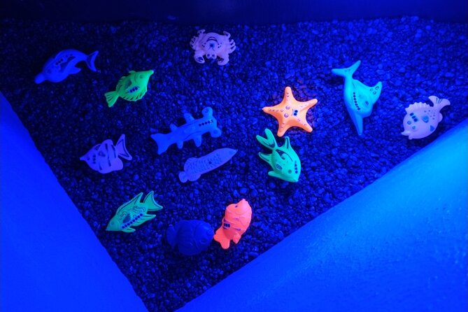 Puzzle Pirates Puzzle Room Experience For Kids - The Game Master Makes a Difference