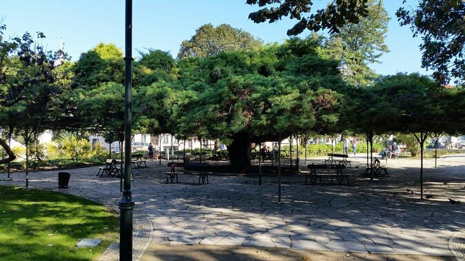 Queer Lisbon - A Treasure Hunt in LGBT History - Key points about Queer Lisbon