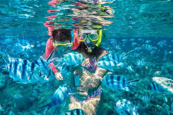 Reef Discovery Private Treasure Hunt - Why this treasure hunt works for families