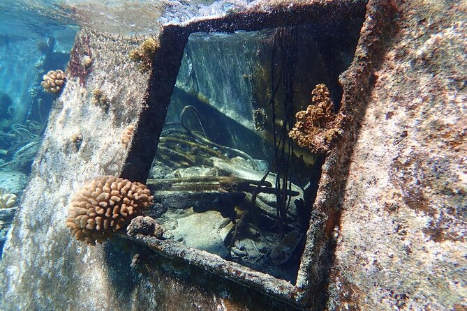 Reef Discovery Private Treasure Hunt - Stop two: coral gardens and fish gardens