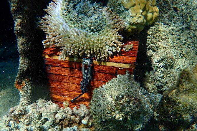 Reef Discovery Private Treasure Hunt - What the $966.97 price really buys