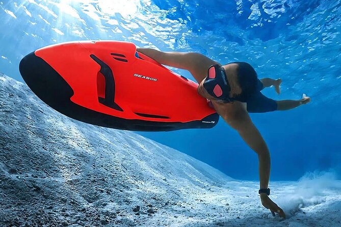 Reef Discovery Private Treasure Hunt - Who will enjoy it most