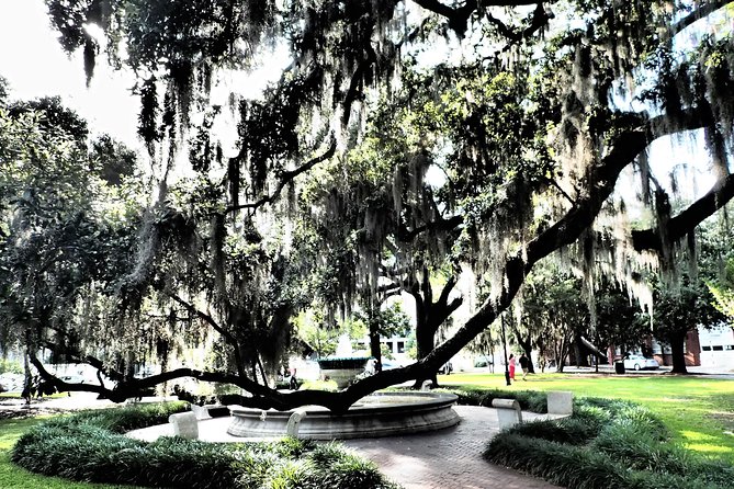 Savannah Scavenger Hunt Adventure - The $49 price and who gets the best value