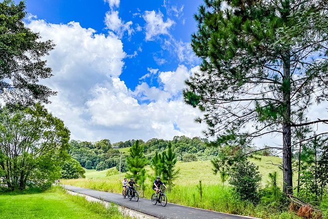 Scavenger Hunt - Explore Newtown In A Series Of Fun Cryptic Clues - Taking a break at Pocket City Farms