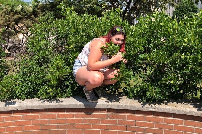 Scavenger Hunt in Gatlinburg by Zombie Scavengers - Finding Survival Items Around Town